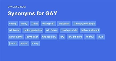 antonyms for gay